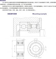 CK-B楔塊式單向離合器